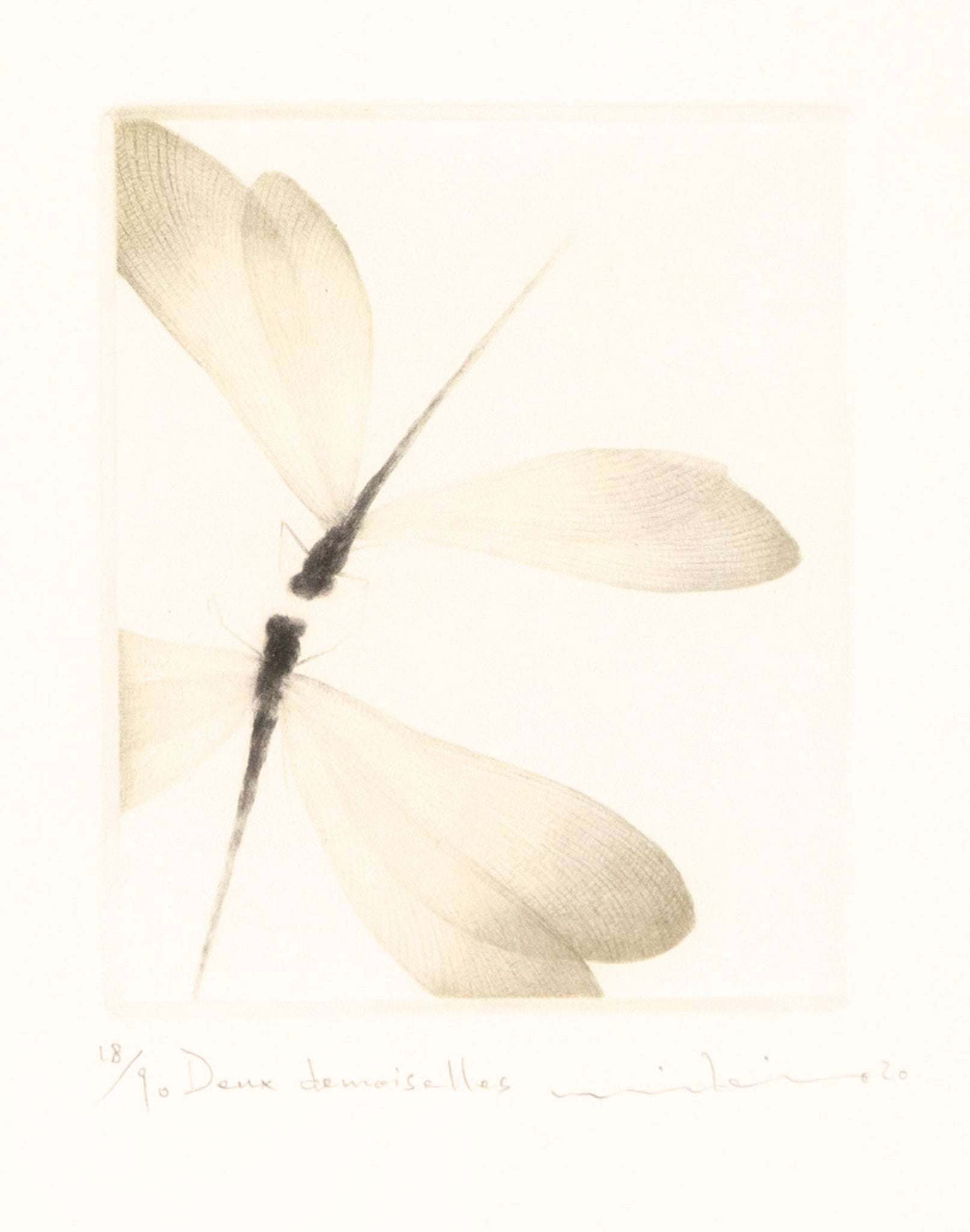 Mikio Watanabe