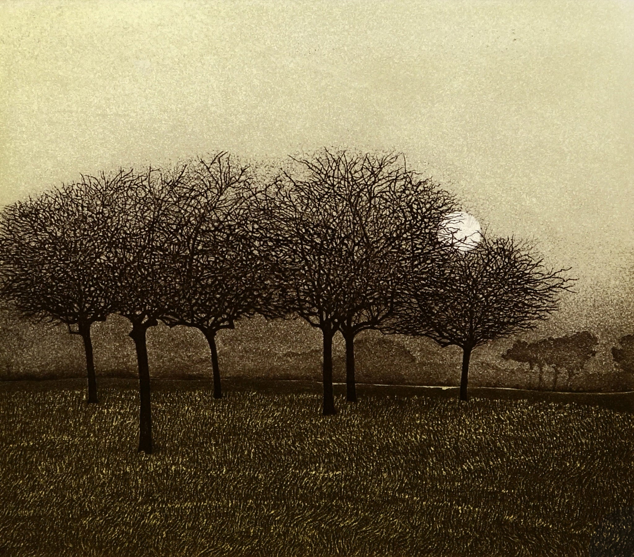 Phil Greenwood