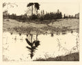 The Pond - March 1978