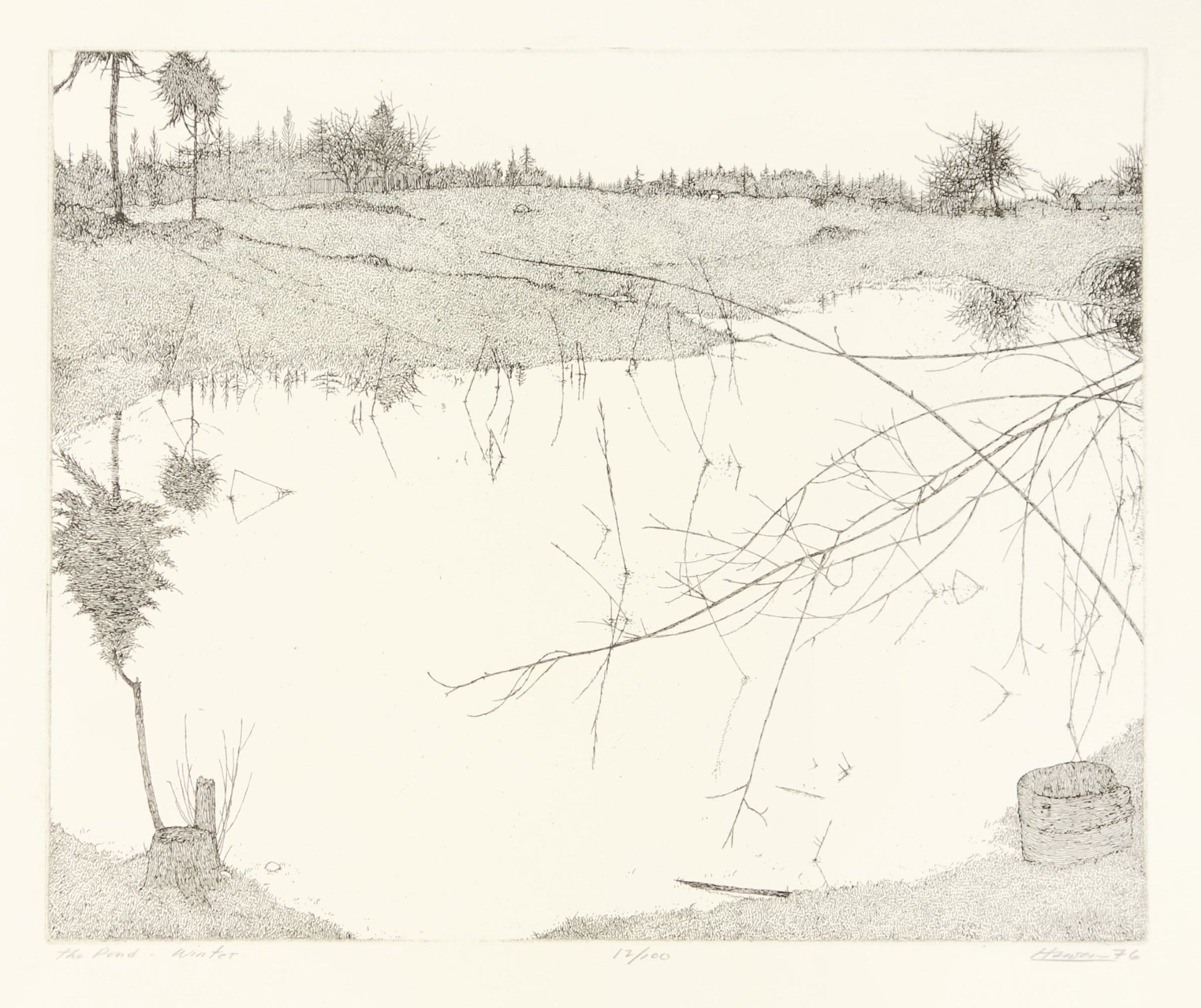 The Pond - Winter