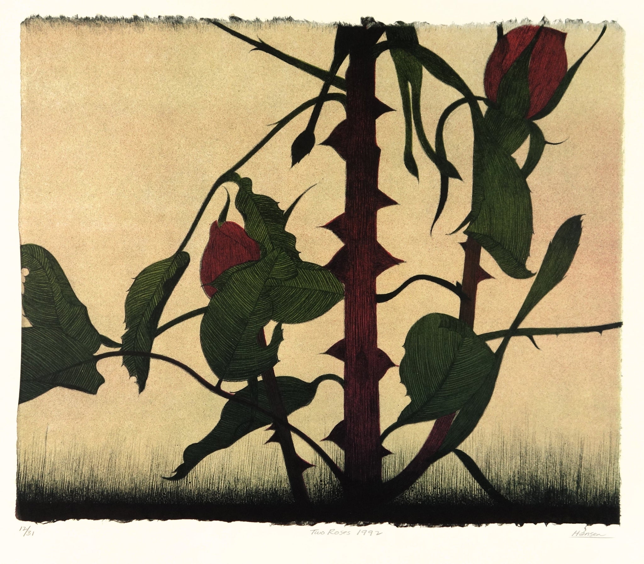 Two Roses 1992