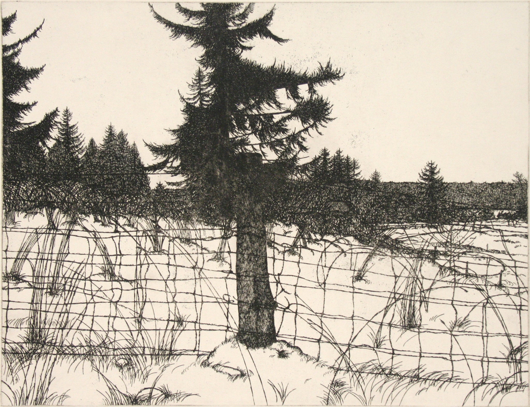 Island Landscape 1978 by Art Hansen - Davidson Galleries