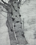 Two Alders 1997
