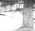 Island Farm May 1975 by Art Hansen - Davidson Galleries