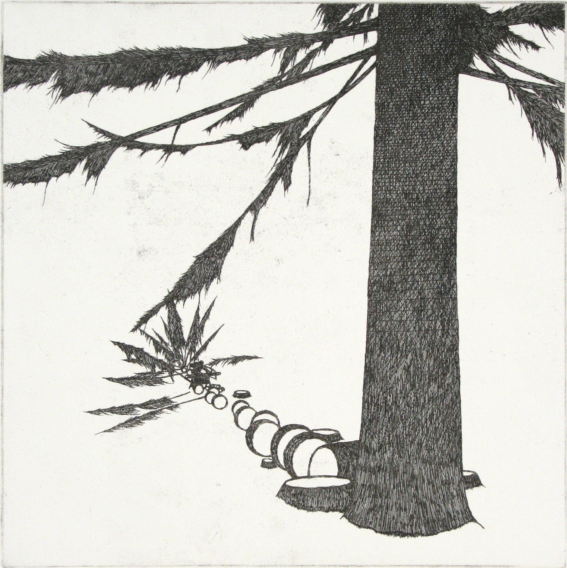 The Great Fir and the Woodcutter 1973