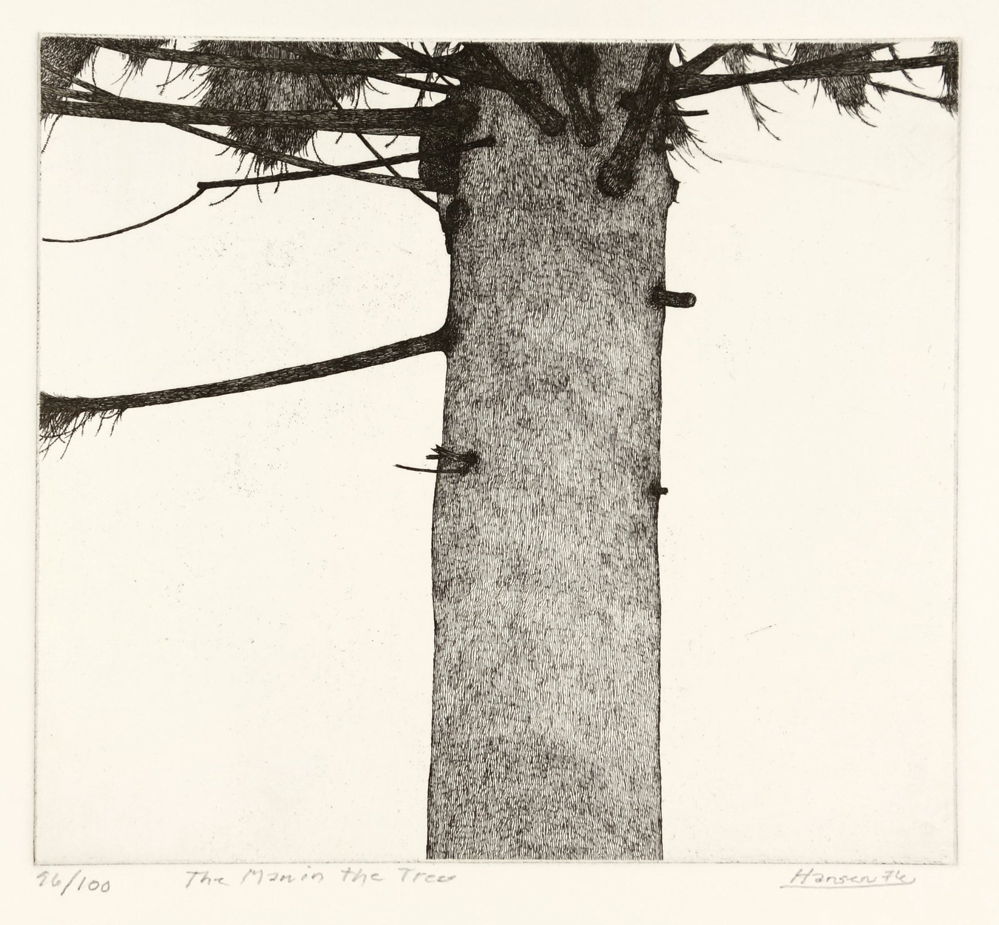 The Man in the Tree