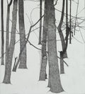 Winter, Forest, and the Wanderer