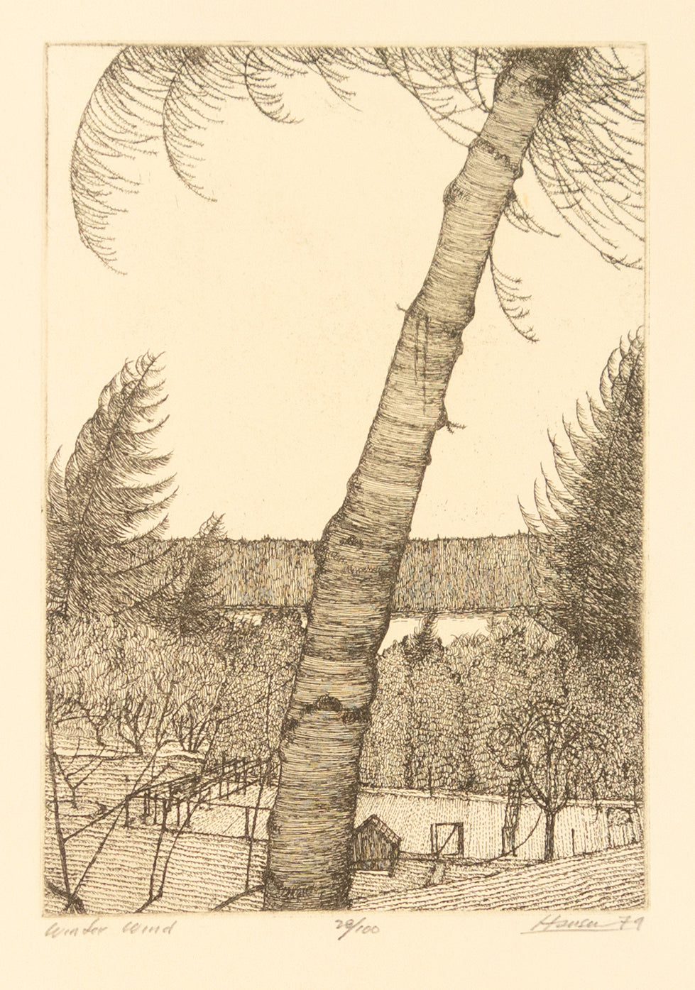 Winter Wind