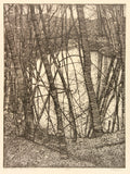 The Pond - Spring 1979