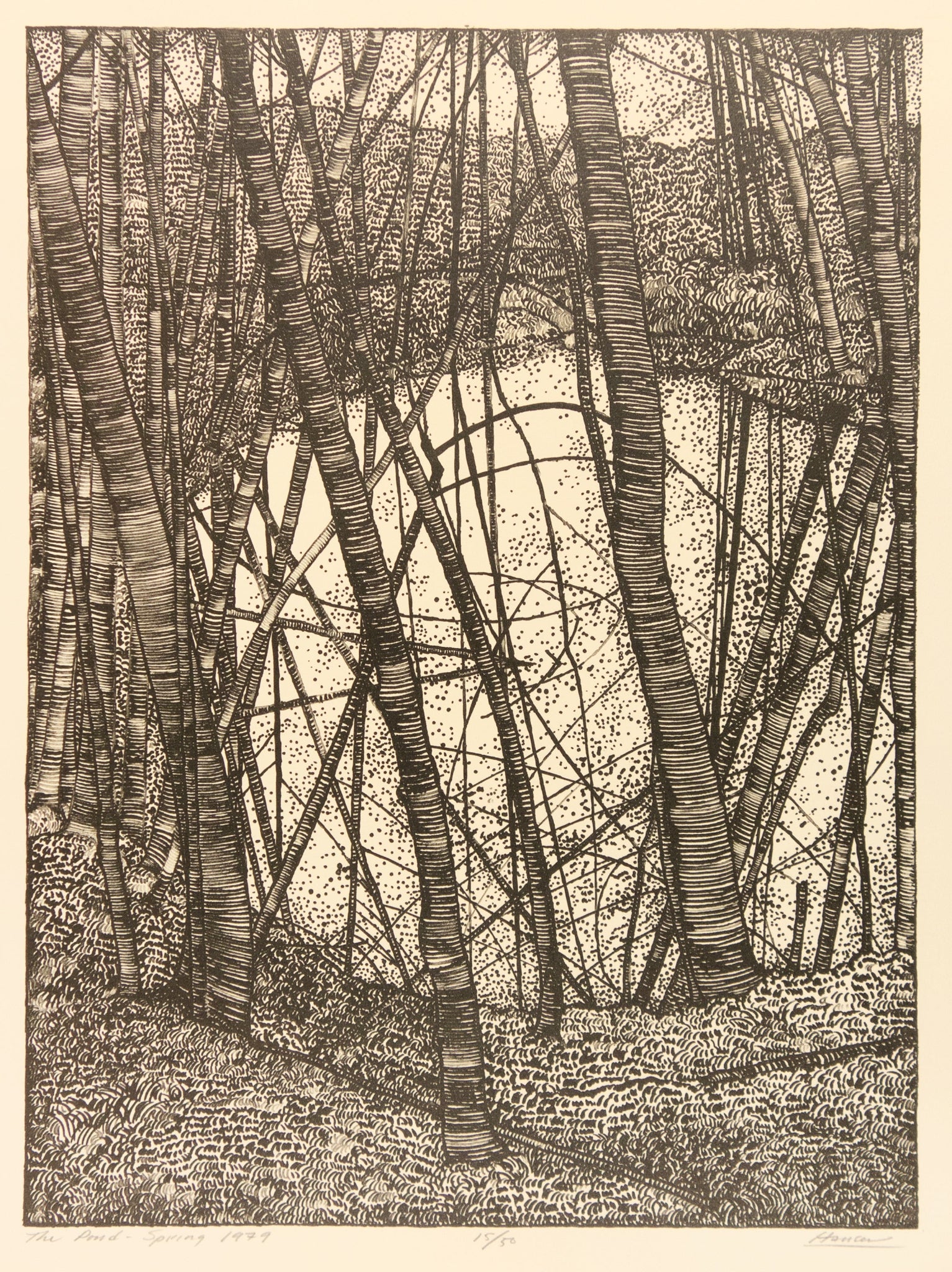The Pond - Spring 1979