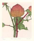 Three Roses 1992