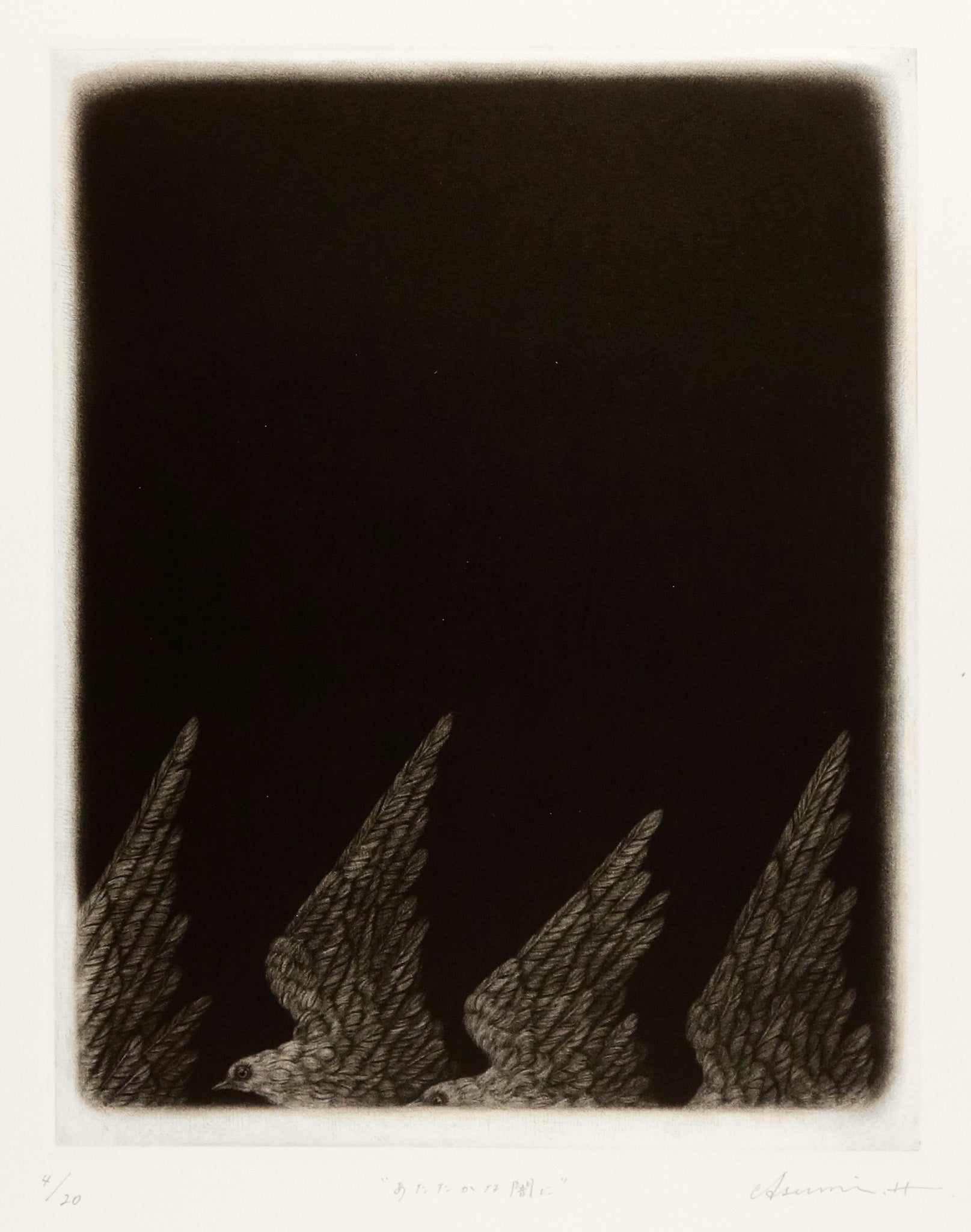 To The Warm Darkness by Asumi Hayashi - Davidson Galleries