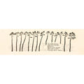 In the Forest of the Tall Trees by Chul Soo Lee - Davidson Galleries