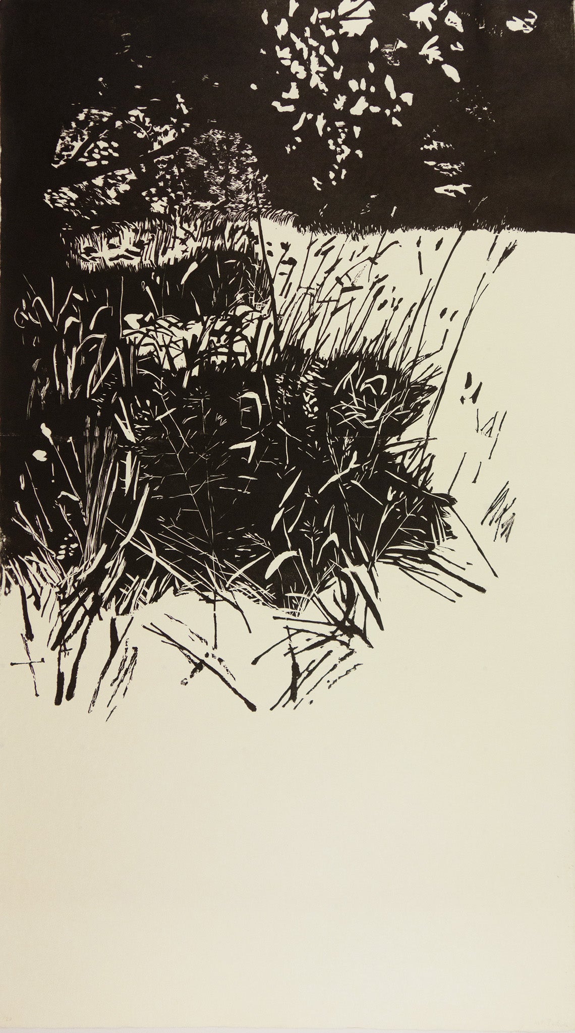 Big Glade (Wiese) by Eva Pietzcker - Davidson Galleries