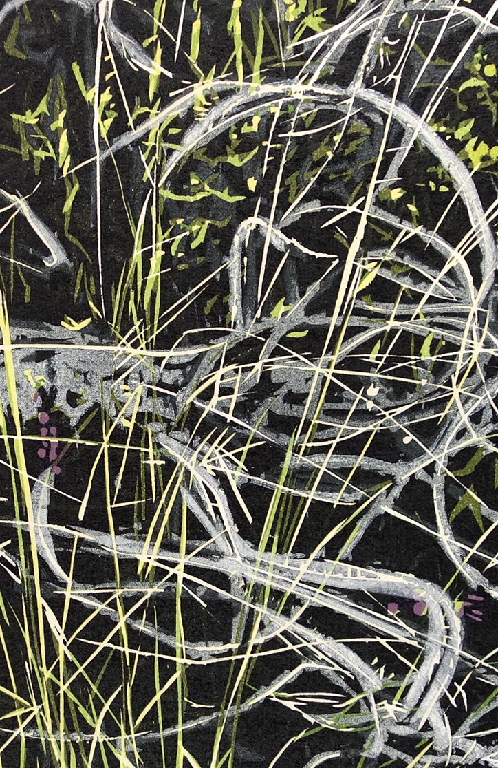 Feather Grass by Jean Gumpper - Davidson Galleries