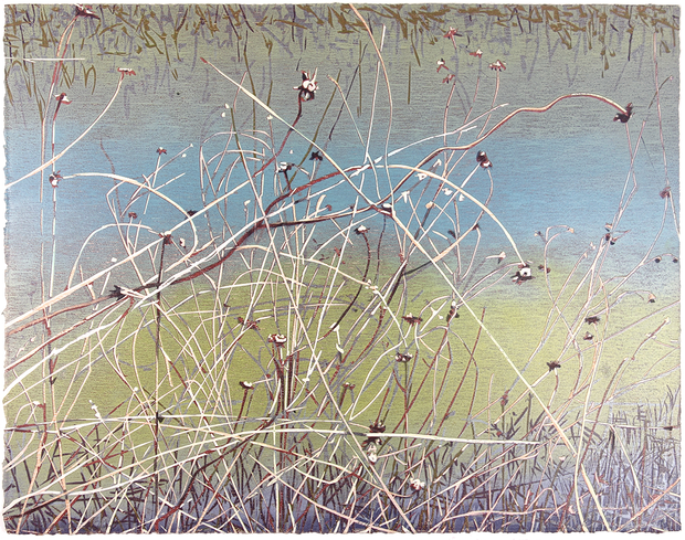 Marsh Grass by Jean Gumpper - Davidson Galleries