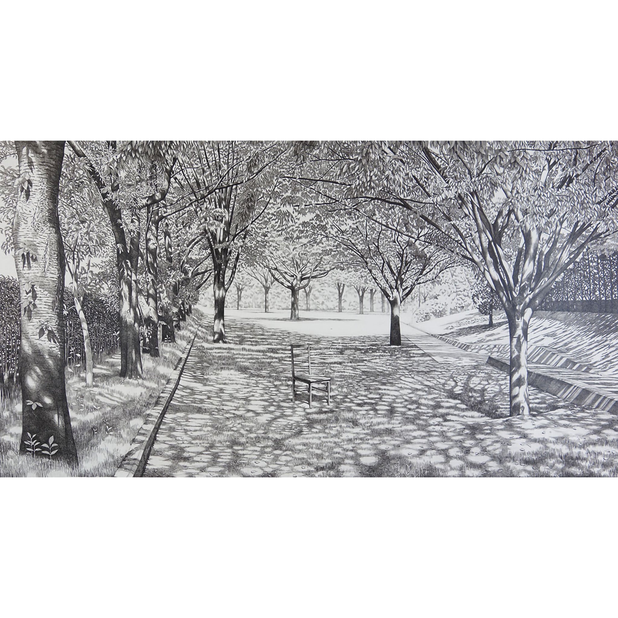 The Sunshine Filtering through Foliage #5