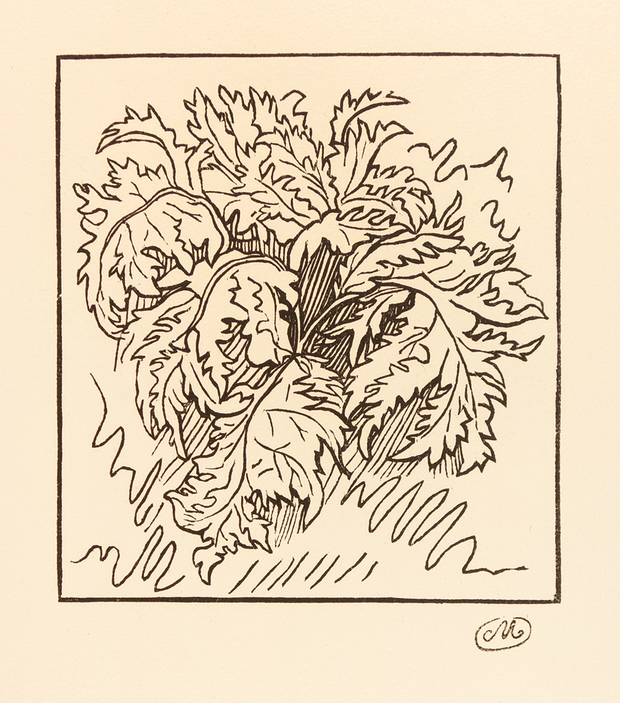 Plant by Aristide Maillol - Davidson Galleries