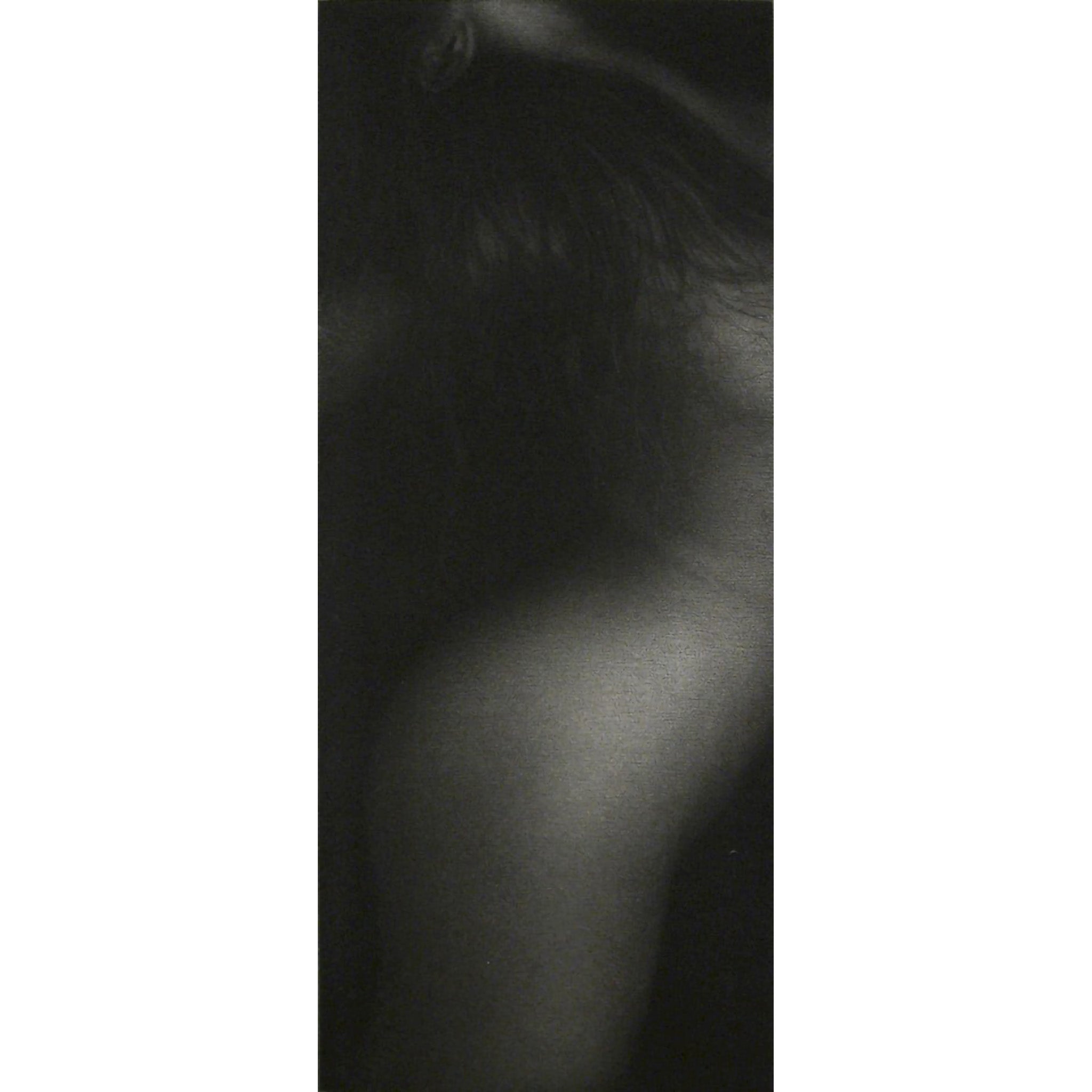 Ellipse by Mikio Watanabe - Davidson Galleries