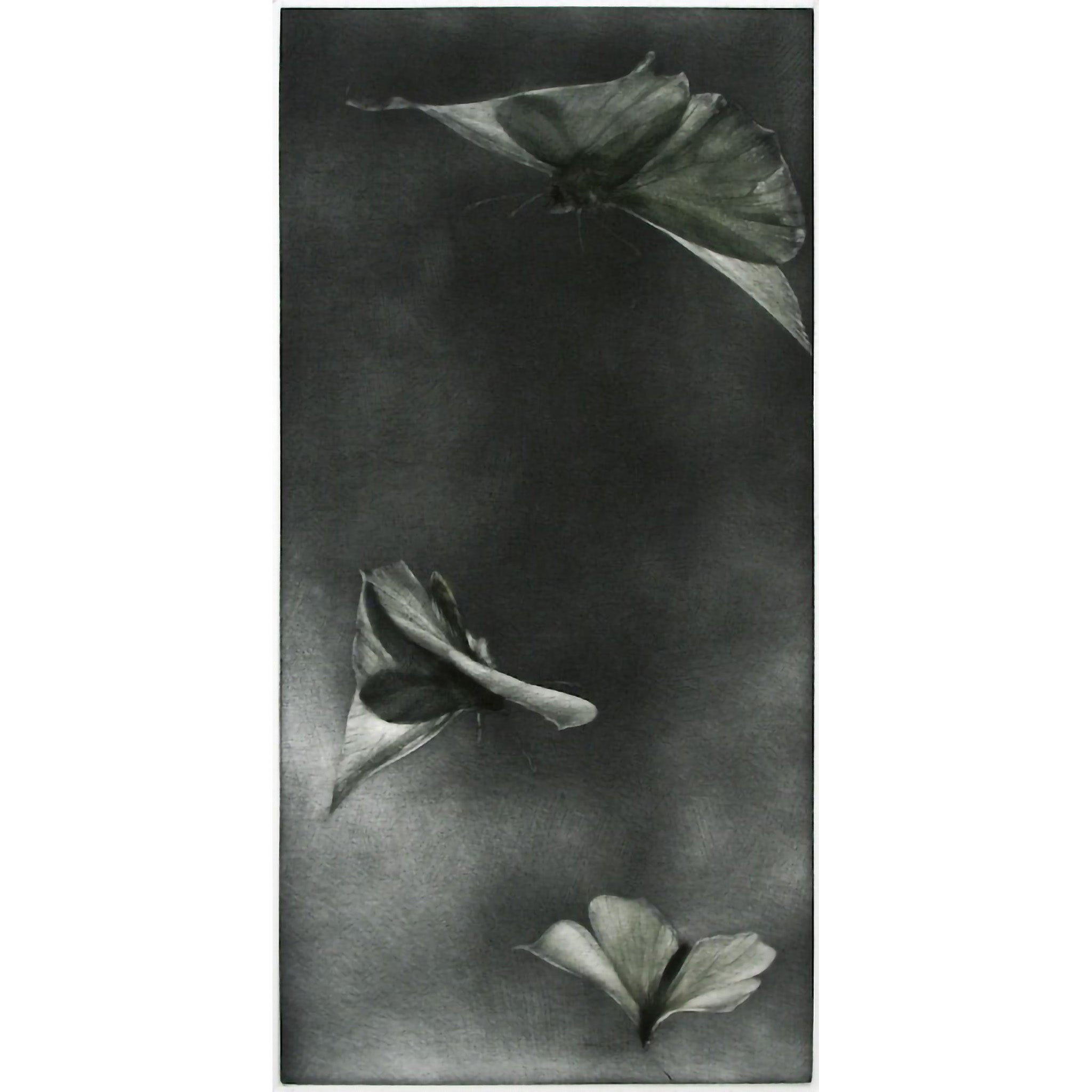 Voltige II by Mikio Watanabe - Davidson Galleries