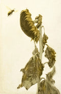 Fin d'été by Mikio Watanabe - Davidson Galleries