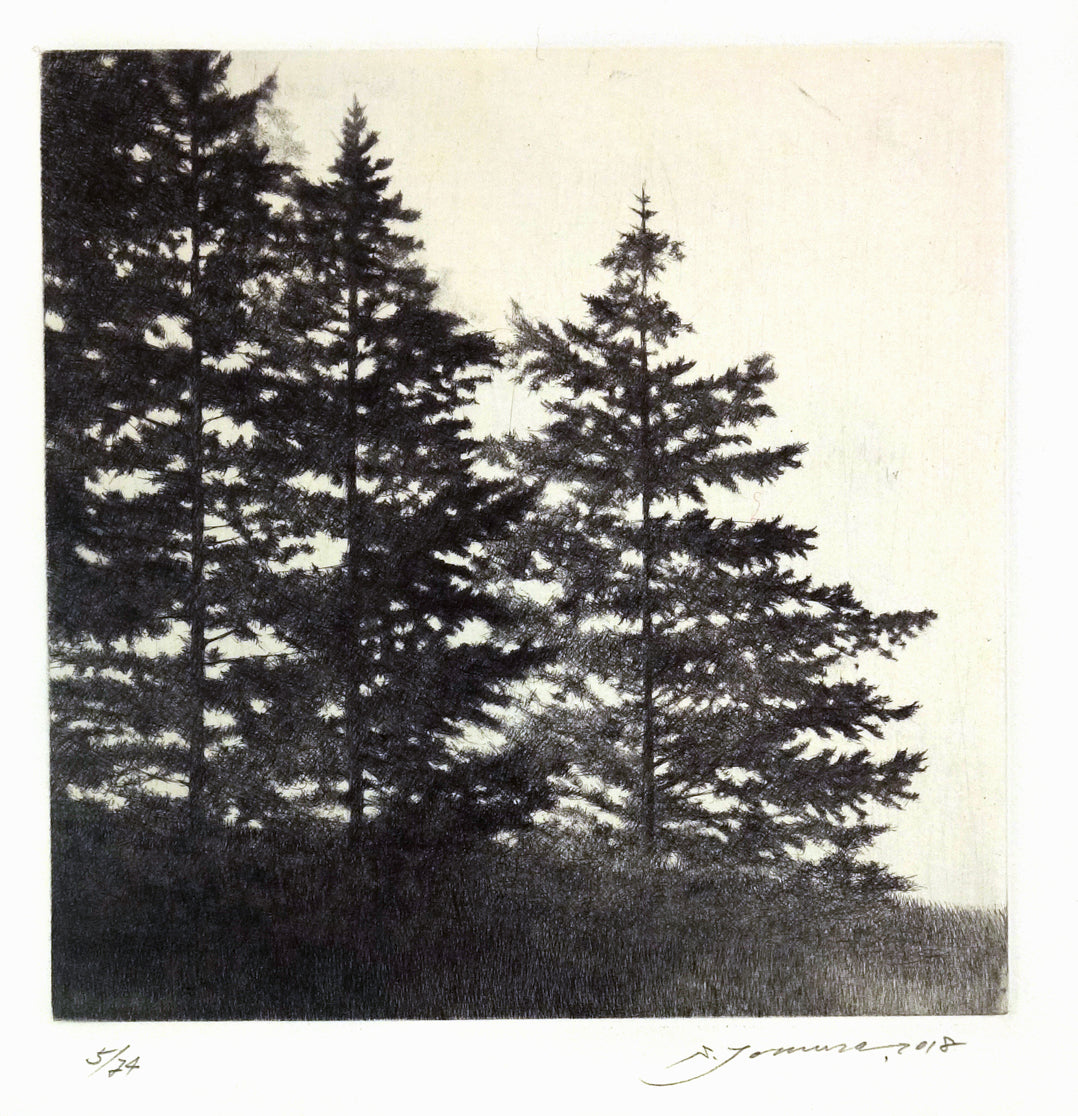 40 N. Latitude III, Summer