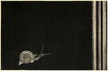 Katasumuri (snail) / One Rainy Day by Seiichi Hiroshima - Davidson Galleries
