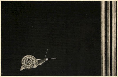 Katasumuri (snail) / One Rainy Day by Seiichi Hiroshima - Davidson Galleries