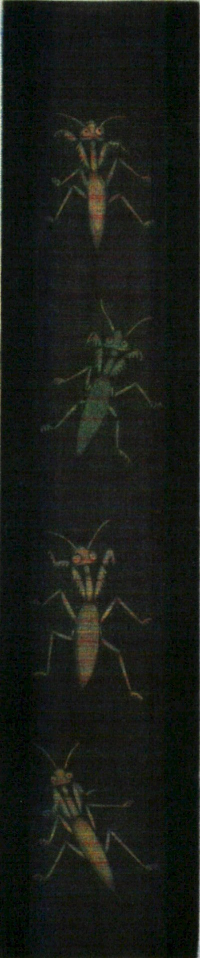 Playing Mantis by Seiichi Hiroshima - Davidson Galleries