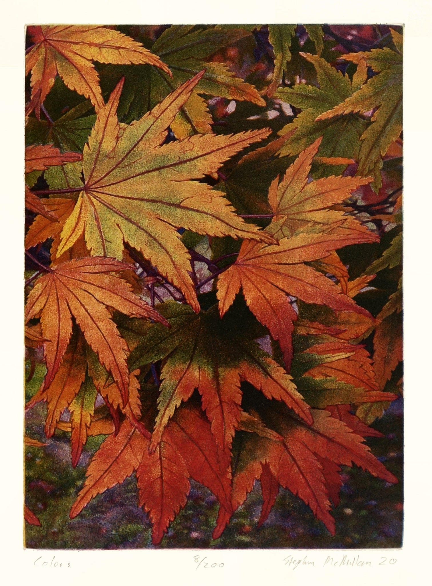 Colors by Stephen McMillan - Davidson Galleries