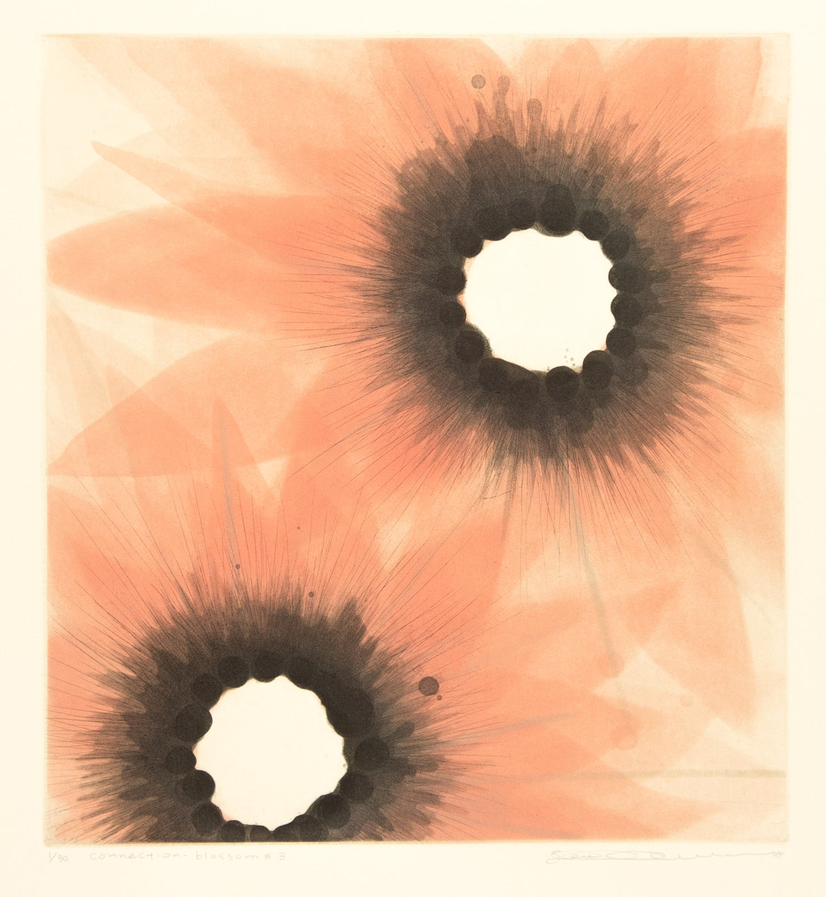 Connection-Blossom #3 by Seiko Tachibana - Davidson Galleries