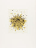 Fern-butterfly effect c-3 by Seiko Tachibana - Davidson Galleries