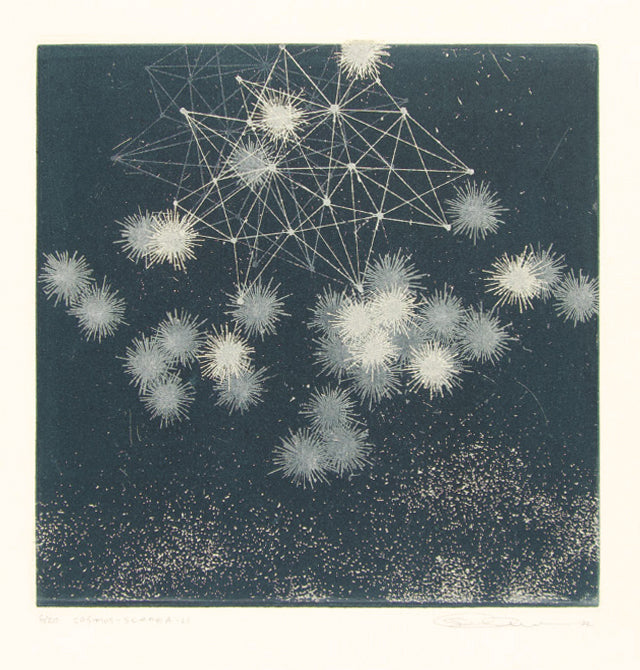 Cosmos - Scene A-21 by Seiko Tachibana - Davidson Galleries