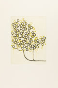 Field of Origin I-B by Seiko Tachibana - Davidson Galleries