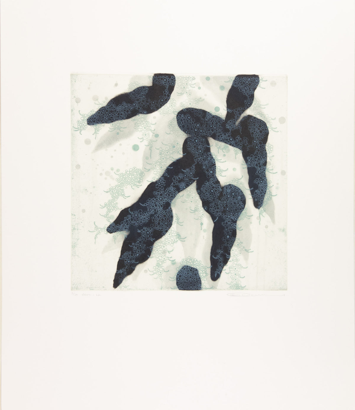 Fern - 2a by Seiko Tachibana - Davidson Galleries