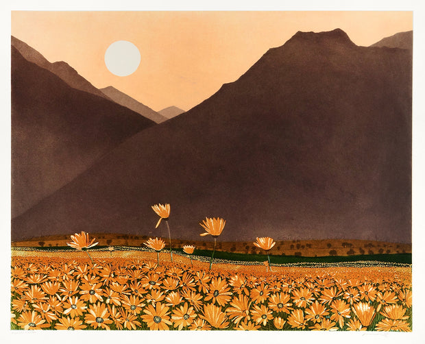 Marigold Mountain by Phil Greenwood - Davidson Galleries