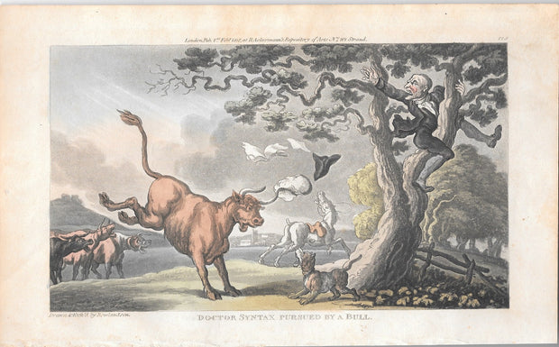 Doctor Syntax Pursued by a Bull by Thomas Rowlandson - Davidson Galleries